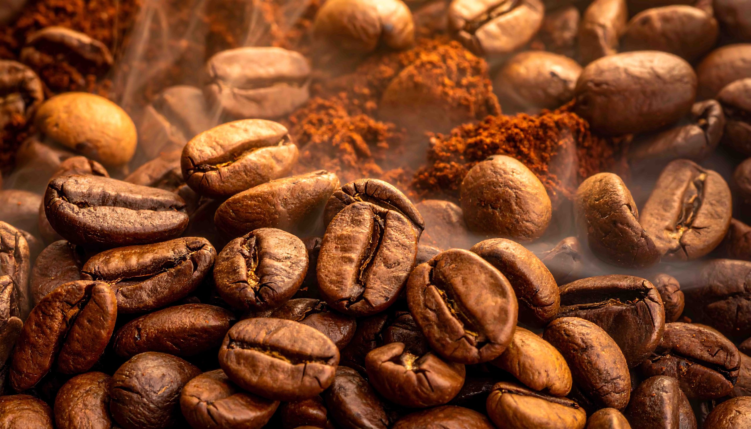 Philadelphia Office Coffee | Flavor Profiles | Modern Brewers